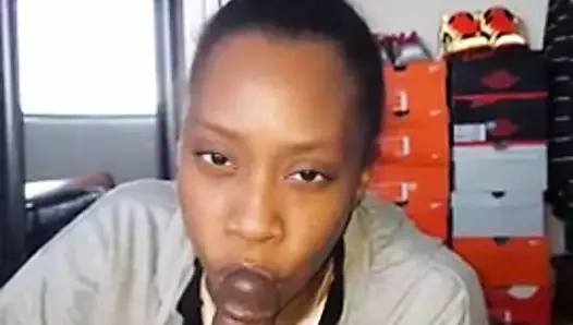 Fındığı yiyen ince civciv