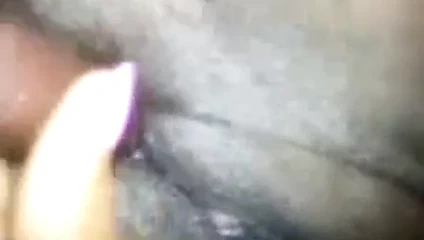 oyun içinde the KEDİ 3