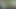 Cumshot explosion