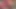 Büyük dildo sıkı amcığımı sikiyor. Boşalıyor ve tadını çıkarıyor