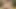 Lily labeau sikişmesi gereken tatlı bir sarışın