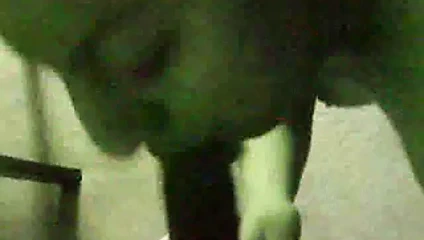 kız arkadaşı memnun etmek için istekli