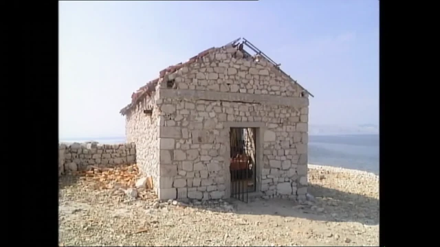Gece yarısı vahşi karşılaşma (tam film)