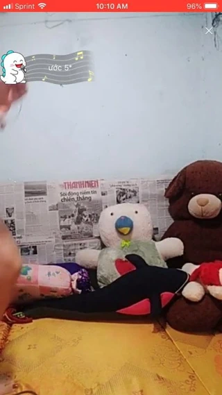 Web kamerası amatör