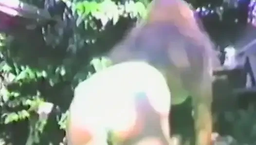 Vintage ao ar livre masturbação ação