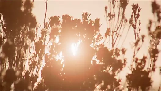 Beş gevşek kadın (1974, biz, tam erotik film, 2k rip)