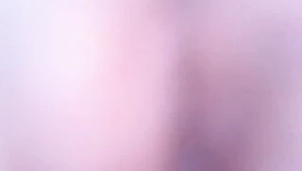 benim kız kedi iç görünüm