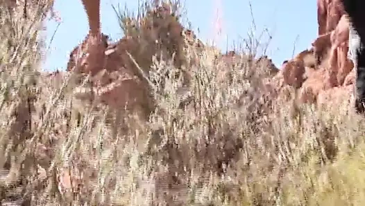 Zeb atlas erkek arkadaş