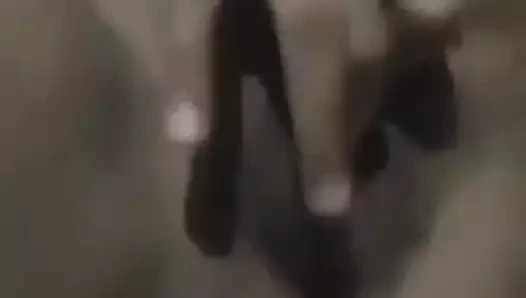 İyi amcık