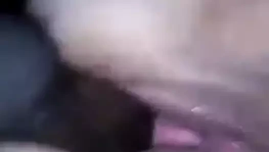 onu ıslak KEDİ yırtma