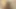 Ateşli ve seksi genç lezbiyenler birbirlerinin amını yalıyor