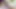 Afrikalı seks gezisi - doğal siyah güzellik açık havada ırklararası yoga seksi