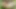 Anal fışkırtma derleme #3! büyük fışkırtma cumshots ve anal orgazm