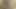 Asya kız web kamerası maturbation