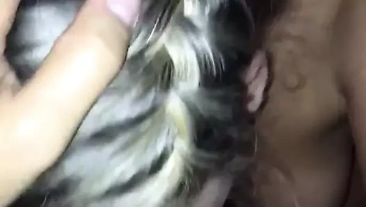 Belçika tatlı emme çük