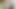 Turbanli oruspu fahise slut whore 3