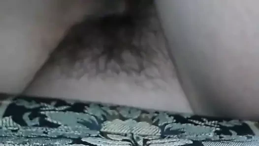 Luv sağladım içinde beyaz kedi