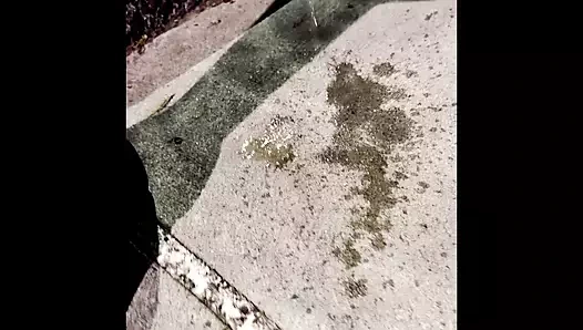 Gece vakti stroli sonra çok kötü işemek zorunda kaldım ve biraz sızdırıldım