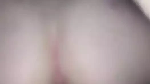 Çarpıcı bir kedi çekiç