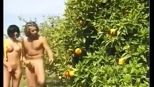 İki arkadaş İbiza'da tatilde ve ateşli piliçleri sikiyor.