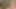 Analiz edildi - Jada Fire, Chelsie Rae ve Flower Tucci anal grup seks için yağlanıyor kısa açıklama