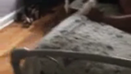 Casanov'un annesi, üvey oğlunun konuşmasına izin verdiğim için bir hafta boyunca bana kızdı.