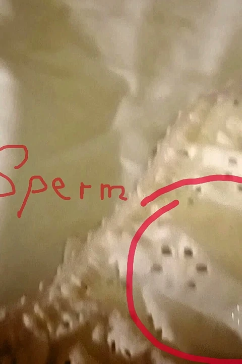 Slip Hump Mastürbasyonu