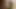 Having an intense interracial threesome with her neighbor made the milf ecstatic and very orgasmic