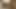 Diverse Amateur Compilation: Oral and Penetrative Adventures
