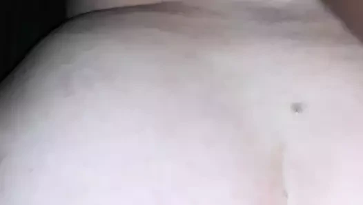 ırklararası köpek stili