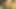 Kaia kane ve natasha birbirlerinin seksi vücutlarıyla oynuyor