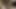 Kaltak uzun bir dildoyla amını sikerken parmaklarını kıvırıyor