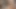 Irklar arası seks, beyazın tatmin olmasının en iyi yoludur