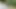 Lara CumKitten - Teaser Intro