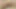 Ateşli ve seksi genç lezbiyenler birbirlerinin amını yalıyor