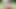 Golf kızı -ai generated-