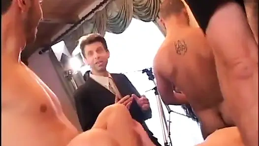 Şöhret final sınavı - dvd