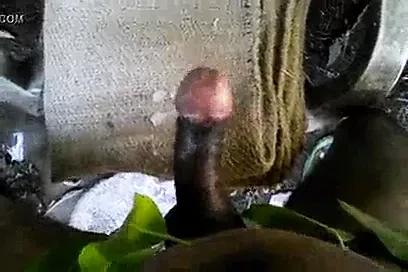 Bu benim sikim