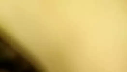 Karısının kedisi.