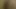 Busty civciv gia oynama ona kıllı kedi üzerinde the duş