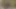 Dövmeli güzellik Evee şehvetli bir şekilde esnetiyor, çıplak soyunuyor, sırılsıklam amını parmaklıyor ve ilkel bir çığlıkla sertçe boşalıyor.