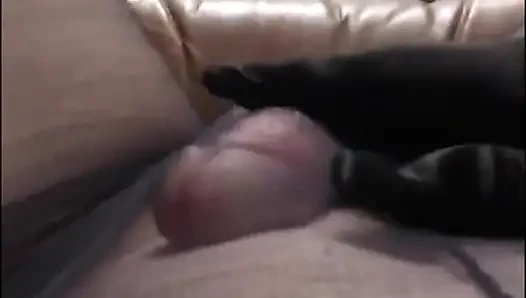 Karısının taytını sikiyor