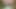 Man fucks woman with big cock in the forest, woman is very happy.