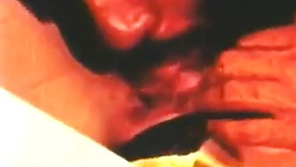 Rhonda jo petty mutfakta bir bbc alır