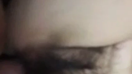 Büyük horoz içinde şaşkın kedi