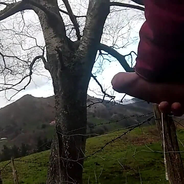 Şişman ve uzun yaraklı adam dağda ona masaj yapıyor, keçi keçisi kesiliyor