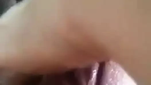 parmak ıslak KEDİ