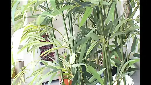 Kraliçe amcık adanmışlığı sert seans