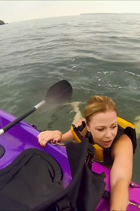 Yüzmeyenler için açık su kayık felaketi - lifejacket tarafından kurtarıldı