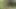 Lovely Porn Experience in USA!!! - vol. 03 - (The Golden